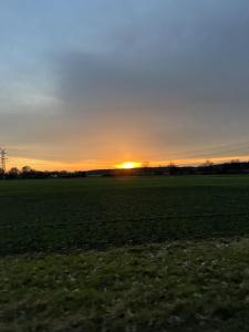 a field with the sun setting in the horizon at Hotel Zur Post in Haren