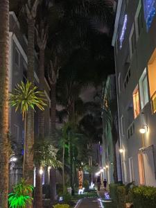 a street at night with palm trees and buildings at Apto 3 dorms proximo a UFABC e CPTM in Santo André