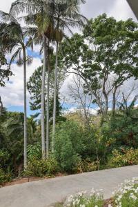a road with palm trees and bushes and flowers at Firefly Cottage in Mount Tamborine