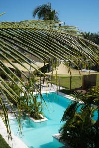 a palm tree leaning over a blue swimming pool at Buena Vista in El Paredón Buena Vista