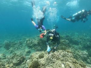 two people swimming in the ocean over a reef at Casa Pichay in Vigan