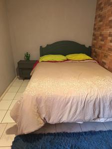 a bedroom with a large bed with yellow pillows at Casa Hostel Javi in Santiago