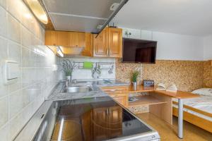 a small kitchen with a sink and a bed at River View Suite Mlinar Private Beach - Happy Rentals in Metlika