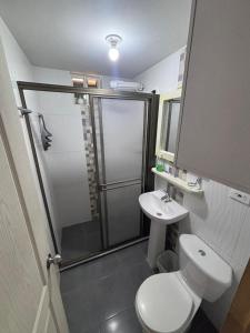 a bathroom with a shower and a toilet and a sink at Cabaña Belvedere in Duitama +6 photos