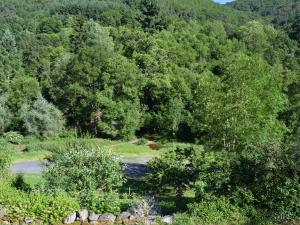 a river in the middle of a mountain with trees at Holiday home with terrace in Villeneuve-dʼAllier