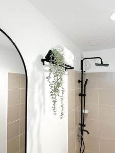 a bathroom with a plant hanging from the wall at Mi Casa de Baguio by North Sierra in Baguio +45 photos
