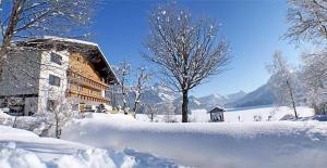Sonnleiten - Guggerhof - Villa Sonnenwies during the winter