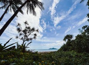 a beach with a palm tree and the ocean at BHA 4 Beachfront Bliss 2 bed in Mission Beach