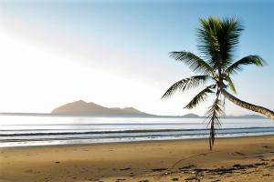 a palm tree on a beach with the ocean at BHA 1 Beachfront Haven fullhouse in Mission Beach