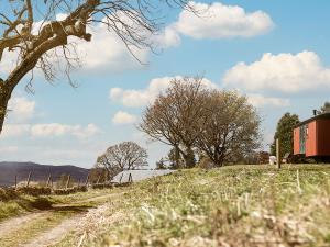 a field with a tree and a red barn at Lapwing Shepherds Hut - Uk7631 in Pitlochry