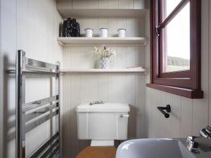 a bathroom with a toilet and a sink and a window at Lapwing Shepherds Hut - Uk7631 in Pitlochry