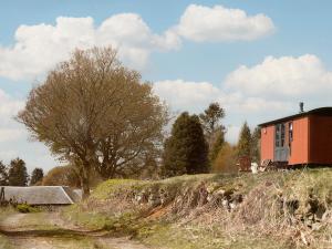 a small red house on a hill with a tree at Lapwing Shepherds Hut - Uk7631 in Pitlochry