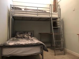 a bedroom with a bunk bed and a ladder at Uk7522 - Science in Dallavich