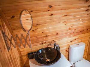 a bathroom with a sink and a toilet and a mirror at Willow-Uk7589 in Stewarton