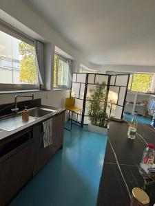 a kitchen with blue floors and a sink and windows at Appartement lumineux proche du Parc des Sources in Vichy
