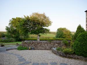 a garden with a stone wall and a tree at Honeysuckle Cottage - Ukc4692 in Kilkhampton +5 photos