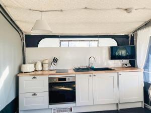 a kitchen with a sink and a stove in a caravan at Kingfisher - Ukc8198 in Dolau