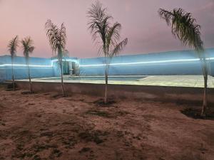 a group of palm trees in front of a building at Chillora cafe in Mahlān