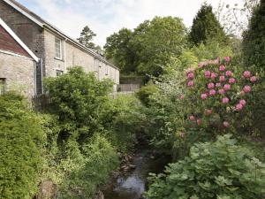a garden with pink roses next to a building at Ty Cerbyd in Cilybebyll +2 photos