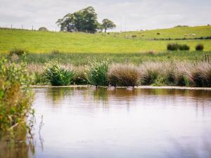a body of water with a grassy field and a hill at Drovers Barn in Malpas