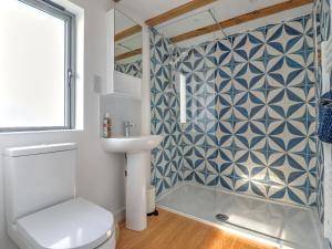 a bathroom with a shower and a toilet and a sink at Staddlestone Barn - Ukc8984 in Romsey