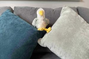 a stuffed bird is sitting on a couch at Holywell - Cwc in Perranporth