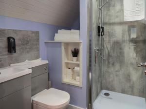 a bathroom with a shower and a toilet and a sink at Meikle Balloch - Ukc6069 in Newmill