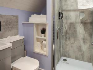 a bathroom with a shower and a toilet and a sink at Ben Rinnes - Ukc6028 in Newmill