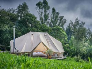 a large tent in a field of grass at Cowslip- Ukc4942 in West Anstey +19 photos