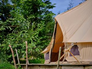 a tent that is sitting next to some trees at Buttercup- Ukc4938 in West Anstey +19 photos