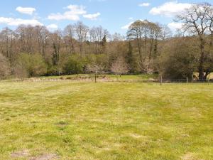 a large grass field with trees in the background at Beech Cottage in Uckfield