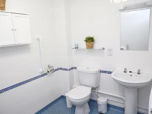 a white bathroom with a toilet and a sink at Birch Cottage in Uckfield
