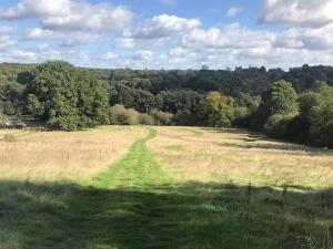 a field with a road in the middle of it at Chestnut Cottage in Uckfield