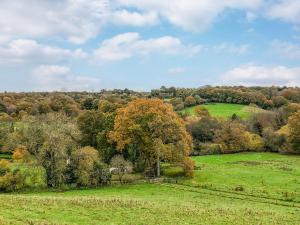 a green field with trees in the background at Chestnut Cottage in Uckfield