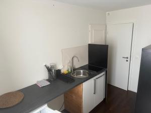 a small kitchen with a sink and a refrigerator at Studio James in Hombrechtikon