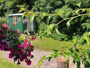 a garden with a small green shed with flowers at Dorset Alpaca Shepherd's Hut in Dorchester