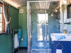 a bathroom with a shower and a sink at Dorset Alpaca Shepherd's Hut in Dorchester