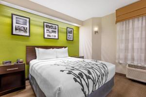 a hotel room with a bed and a green wall at Sleep Inn at Greenville Convention Center in Greenville +23 photos