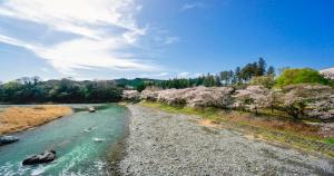 a river with trees on the side of it at KAMENOI HOTEL Ome in Ome