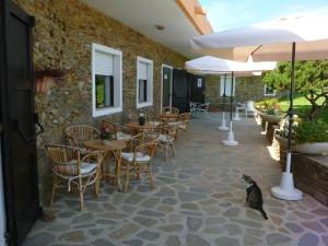 a cat sitting on a patio with tables and chairs at Residence Hotel La Pelosetta in Stintino