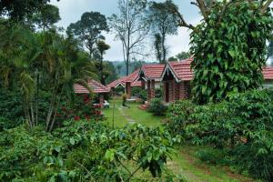 a row of houses with red roofs in a garden at Coffee County in Srimangala