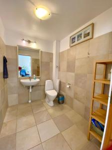 a bathroom with a toilet and a sink at Tiendegaarden Møns Klint in Borre +109 photos