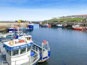 a group of boats docked in a harbor at Lindisfarne Cottage -Ukc5295 in Beadnell +1 photo