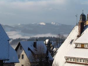 a view of a snowy city with mountains in the background at Hirschenhäusle in Sankt Märgen