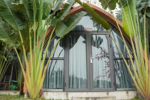 a glass house with a window and a palm tree at SENVIBE Resort in Vằn Trinh