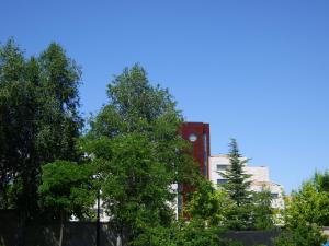 サラマンカにあるHotel Nobis Salamancaの木の前に時計塔がある高層ビル