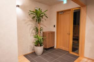 a plant in a pot next to a door at 月詠 Tsukuyomi in Fujikawaguchiko
