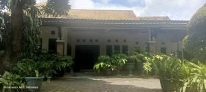 a building with a lot of plants in front of it at Adiyantum Homestay in Jetis