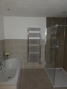 a bathroom with a shower and a tub and a sink at Cohannon Inn in Dungannon