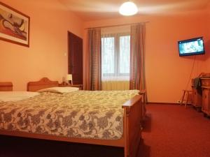 a hotel room with a bed and a television at Hotel Twardowski in Głogoczów